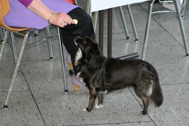ehemaligentreffen_2010_05_29-63